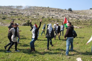 Palestinian and Israeli protestesters in Nabi Saleh, West Bank
